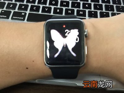 Apple Watch怎么点亮屏幕？点亮屏幕方法分享