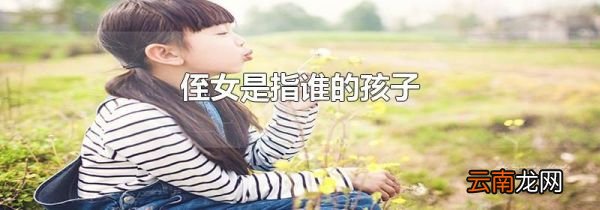 侄女是指谁的孩子