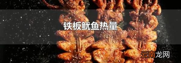 铁板鱿鱼热量