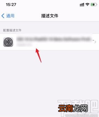 苹果手机删除描述文件的方法