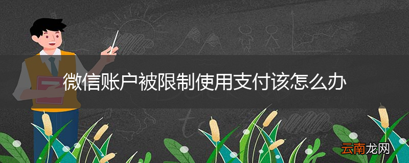 微信账户被限制使用支付该怎么办