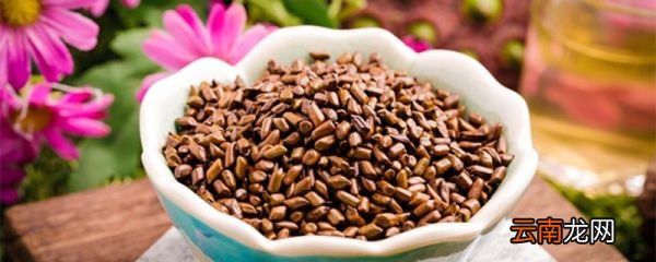 茶道手势及礼仪 茶道手势及礼仪有哪些