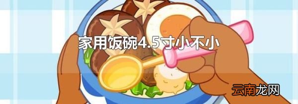 家用饭碗4.5寸小不小