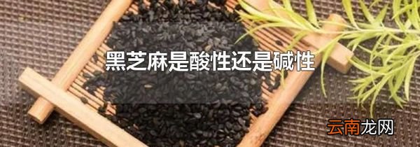 黑芝麻是酸性还是碱性
