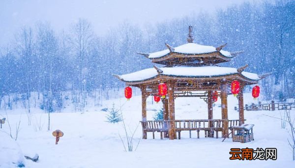 冬至冬至,幸福必至什么意思 冬至冬至幸福必至的意思