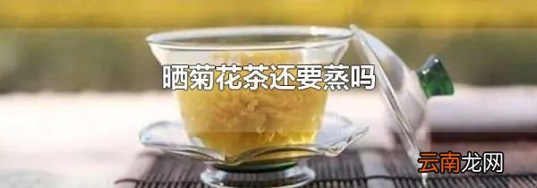 晒菊花茶还要蒸吗