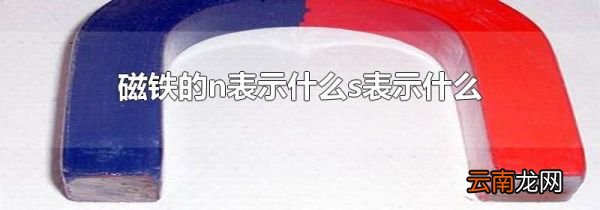磁铁的n表示什么s表示什么