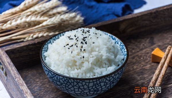 米饭的碳水化合物含量 米饭的碳水化合物含量是多少