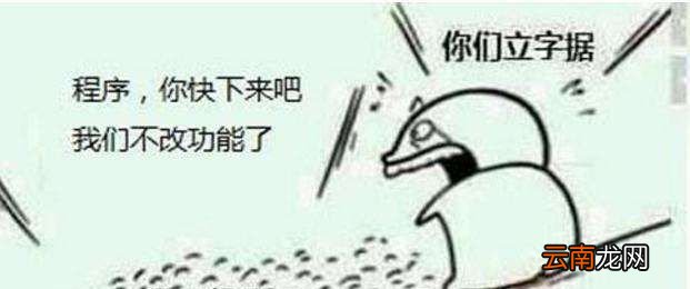 bug是什么意思？
