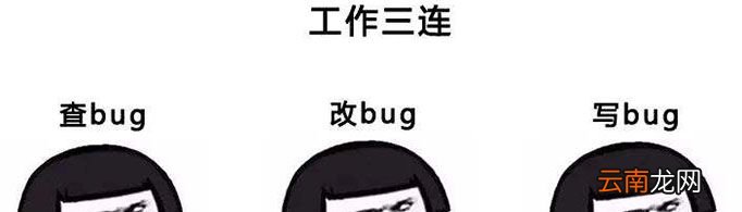 bug是什么意思？