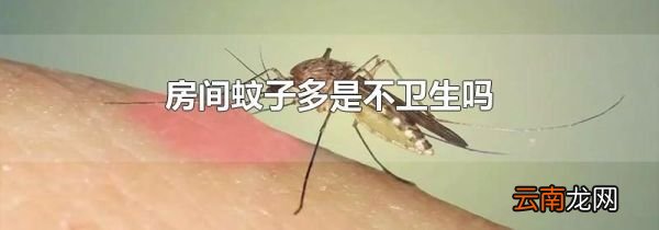 房间蚊子多是不卫生吗