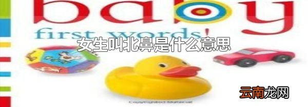 女生叫北鼻是什么意思