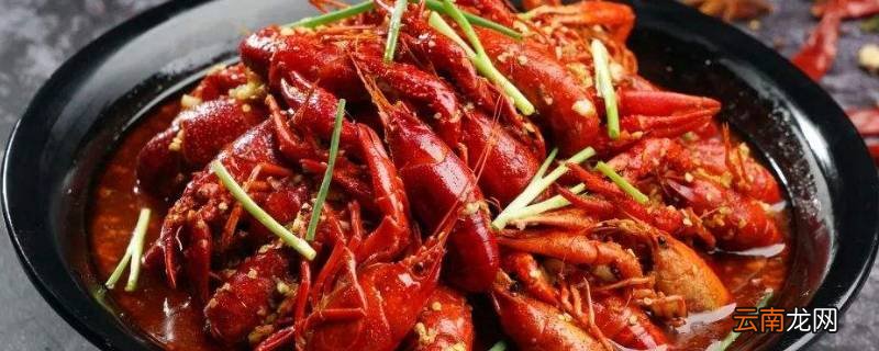 红色的虾是什么虾