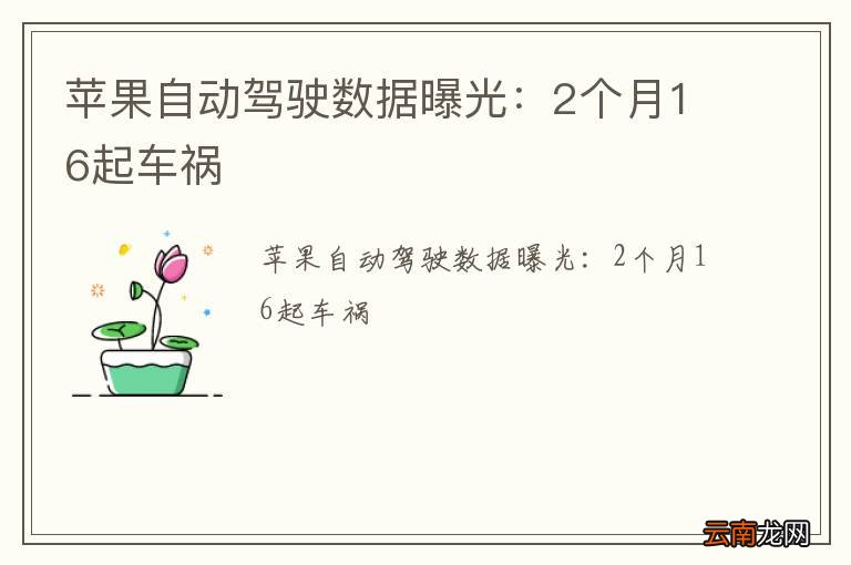 苹果自动驾驶数据曝光：2个月16起车祸