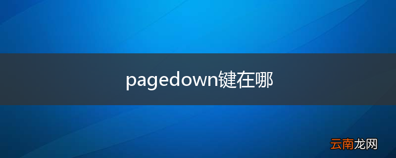 pagedown键在哪