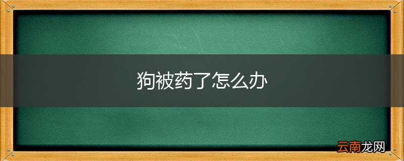 狗被药了怎么办