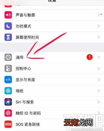 苹果手机设置自动调节亮度的方法