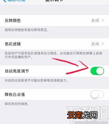 苹果手机设置自动调节亮度的方法