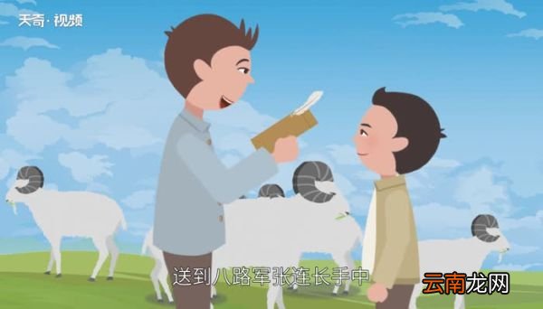 鸡毛信的故事 鸡毛信简介
