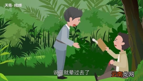 鸡毛信的故事 鸡毛信简介