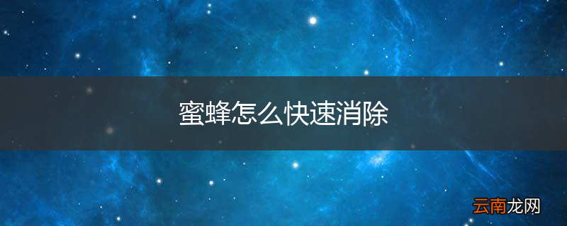 蜜蜂怎么快速消除