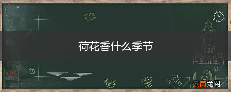 荷花香什么季节