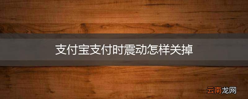 支付宝支付时震动怎样关掉