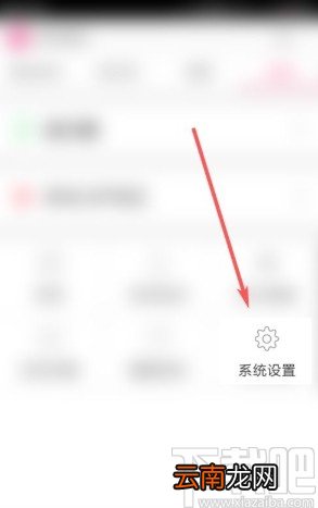 多米音乐app打开桌面歌词的方法