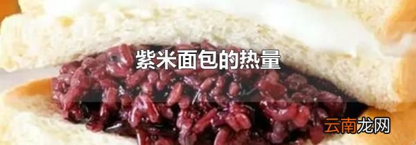 紫米面包的热量