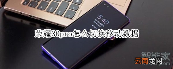荣耀30pro怎么切换移动数据
