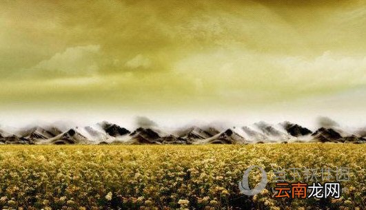 光影魔术手如何换照片底色？更改证件图像背景颜色教程分享