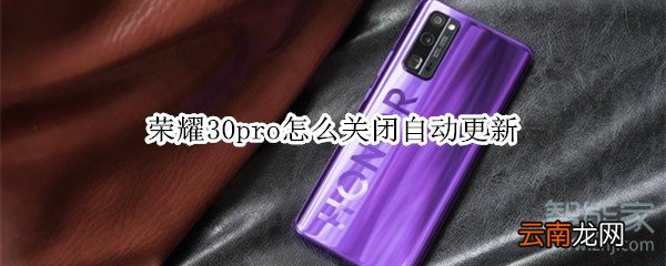 荣耀30pro怎么关闭自动更新