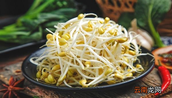 怎么用塑料瓶生豆芽 塑料瓶生豆芽的方法