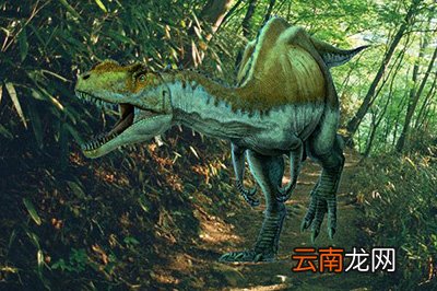 PS如何将图片融入背景?将图片融入背景方法分享