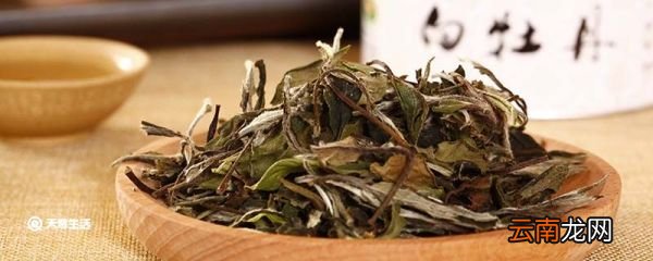 白茶属于什么茶 白茶的产地主要在哪里