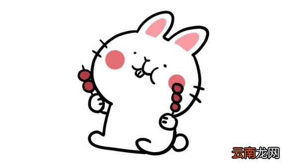 吃糖葫芦的小兔子简笔画