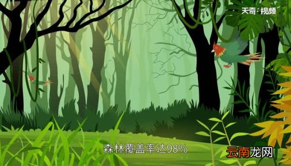 第一个被命名为国家森林公园的是哪一个