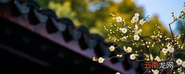 关于二十四节气的古诗 描写二十四节气的古诗