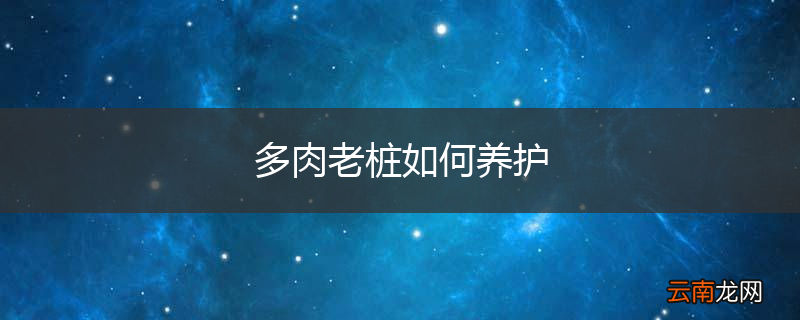 多肉老桩如何养护