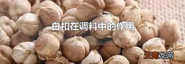 白扣在调料中的作用