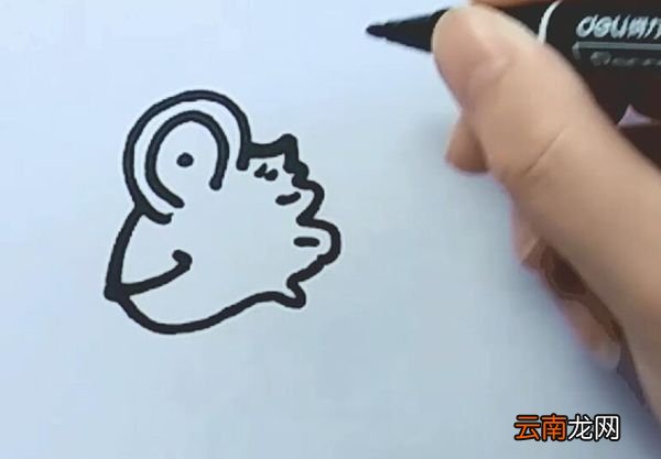 变色龙简笔画