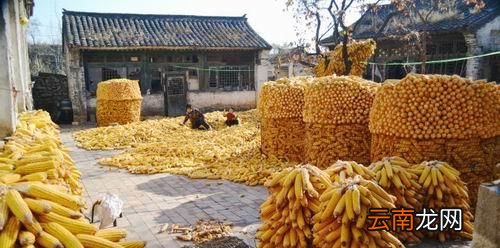 填仓节是什么节日？