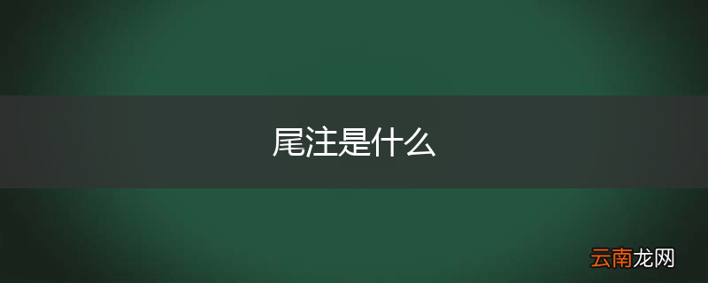 尾注是什么