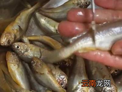 安康鱼怎么处理干净