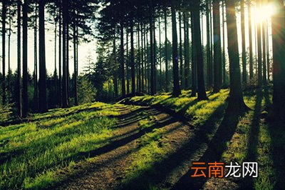 PS如何局部调亮 局部调亮技巧分享