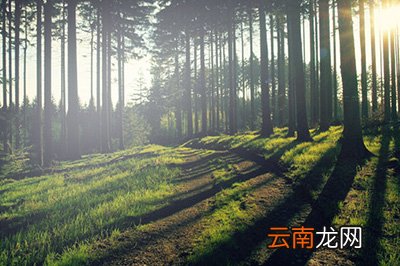 PS如何局部调亮 局部调亮技巧分享