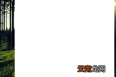 PS如何局部调亮 局部调亮技巧分享