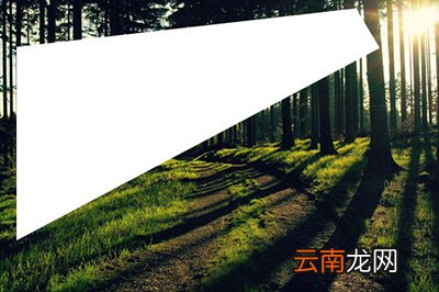 PS如何局部调亮 局部调亮技巧分享