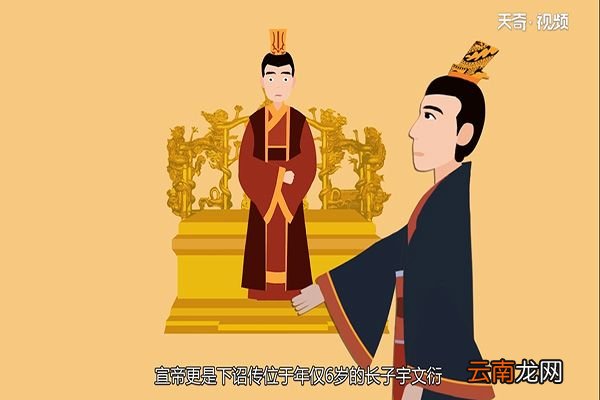 历史上的杨丽华