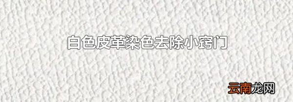 白色皮革染色去除小窍门